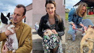 Актьори спасяват бездомни палета! (Тетатър „София“ с инициатива „Не купува – осиновявай)