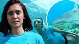 Нина Добрев и Лео ди Каприо спасяват акули (Родната актриса продуцира филм за хищниците)