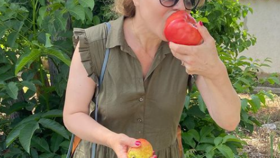 Мира Добрева набива домати на пътя