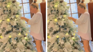 Камелия украси елхата