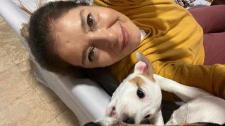 За Катето Евро няма място на дивана! Вижте кой го окупира