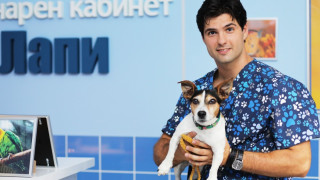 Павел от „Татковци“ се сгоди за любимата си в Италия (СНИМКА)