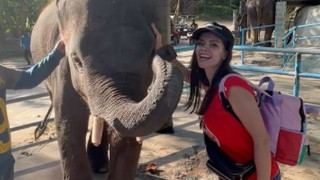 Слон налетя да целува Преслава (Снимки)