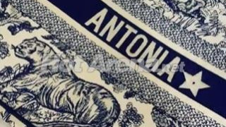 Диор качи Тоца на чанта, миската се хвали с бижута за 20 бона (Снимки)