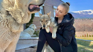 Жаси от „Сделка или не“ с пухкава охрана (СНИМКИ)