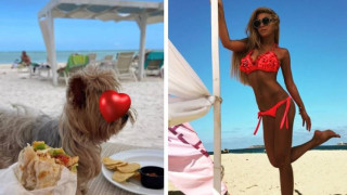 Венета Харизанова на почивка с куче и без мъж