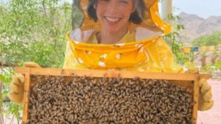 Мегз стана пчеларка в Дубай