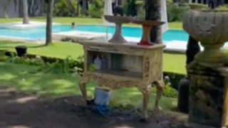 Благой Георгиев показа палата в Бали