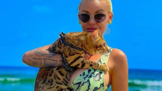 Най-големите бг балкони си намериха котето! Кристин: Бях готова да платя колкото трябва