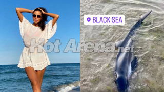 Наталия Гуркова спаси делфин