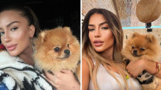 Кучето на Тита с профил в Instagram