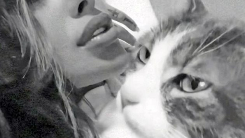 Ново другарче: Сузанита показва котето