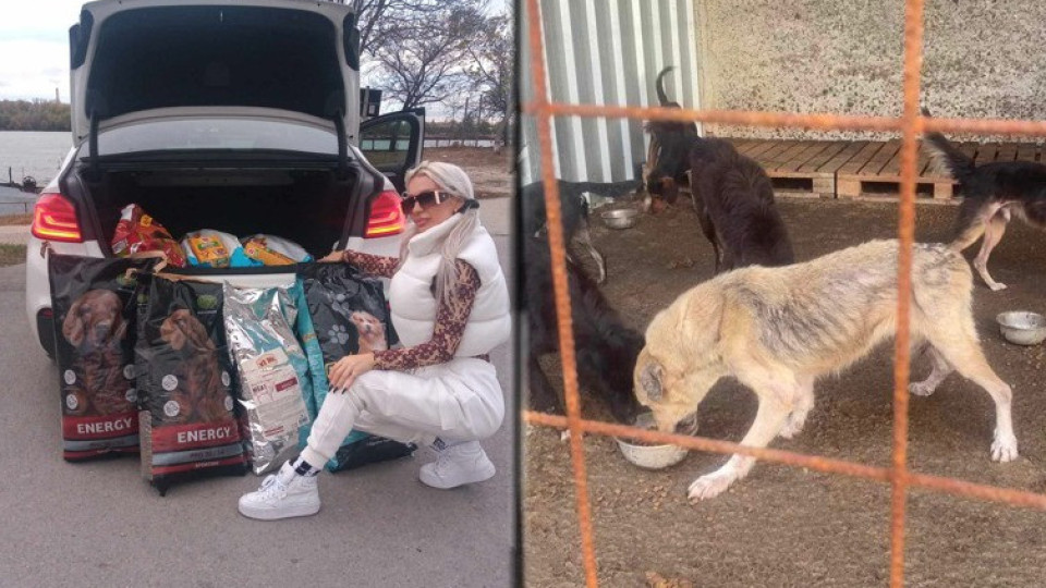Плеймейтката Глория Аенска и „Добрите феи“ спасяват живота на 150 кучета