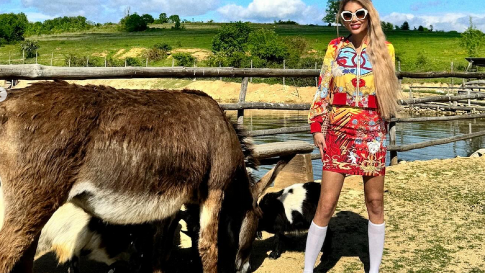 Джулиана Гани се влюби в магаре