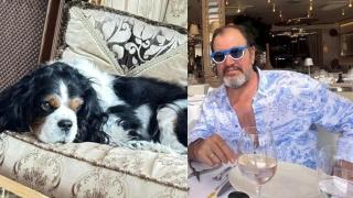 Дядо Гущеров празнува  рождения ден на кучето, но не и на внучето