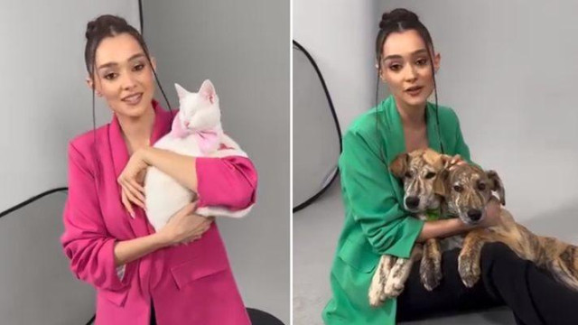 Писаната Бела е осиновена Валерия търси дом и на кучета