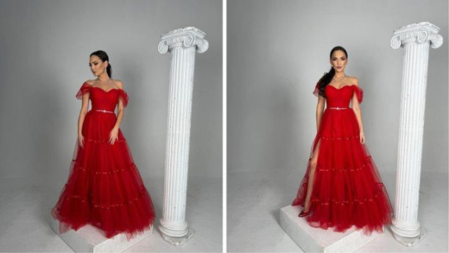 Алиша Павлова е попфолк и народна певица и музикален педагог