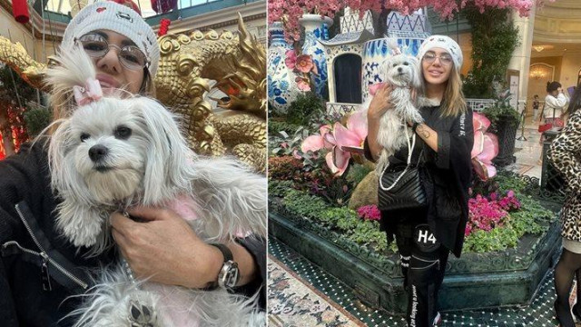 Щастлива Китайска нова година С пожелание за благоденствие мъдрост и