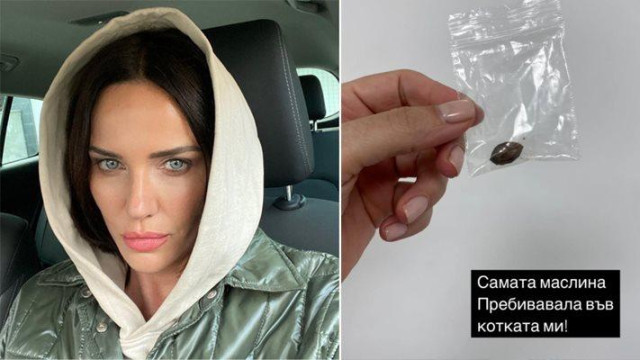 Докопал е маслина Изял я е и се наложи го