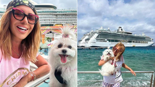 Ужас Внимание Не правете това Дано се събудя утре Мога