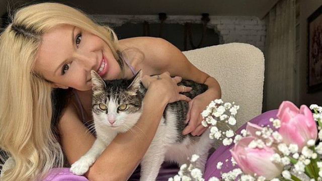 Водещата Мария Игнатова стана царица в същинско котешко царство Красавицата