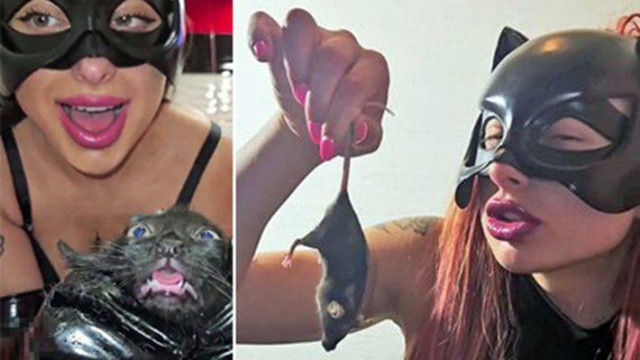 Разследването срещу мъчителите на животни става международно Следователите са изпратили