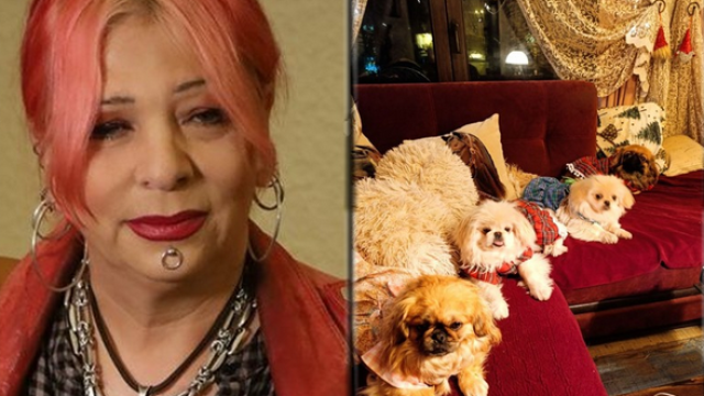 Ужасна загуба претърпя певицата Милена Славова Кученцето й Дейзи изчезна