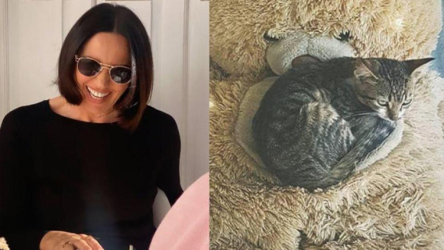 Котката на Мария Силвестър ще се окаже истински звяр пише