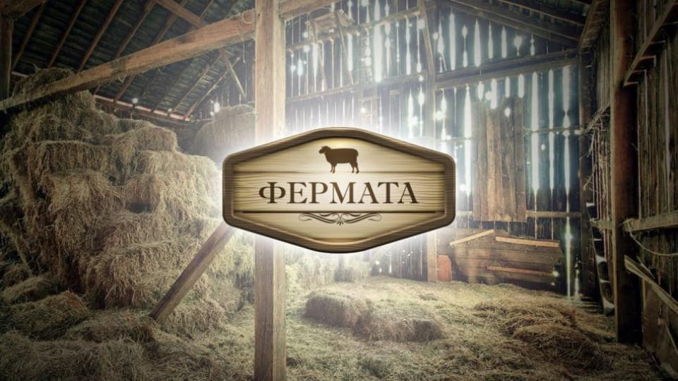 Би Ти Ви пак  спря „Фермата”
