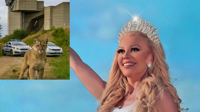 Появата на черния леопард е знак за народа Бог ни