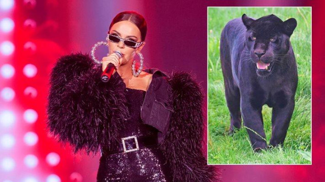 Разбира се че се страхувам от избягалия леопард Все пак