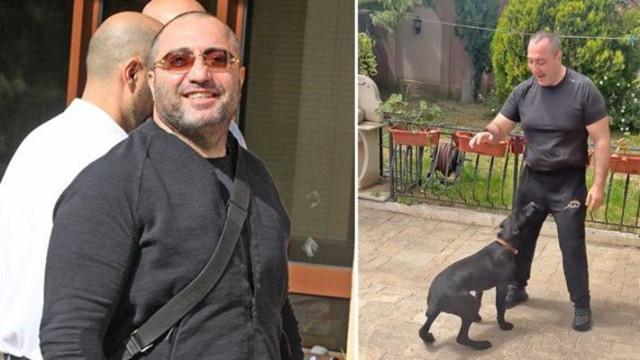 Несебърският бандит дресира малкия Аркан
Димитър Желязков който всява ужас по