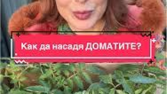 Водещата Мира Добрева отгледа био домати на балкона си похвали се