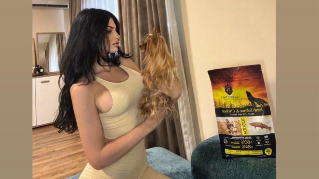 Не разбираме от кучешка храна но със сигурност можем да