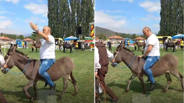 Носителите на Мистър и Мис Магарица ще бъдат избрани под