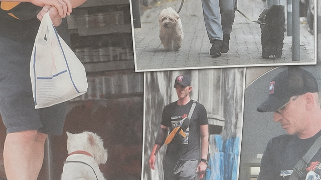 Само с белия териер от връзката си с Радина Кърджилова