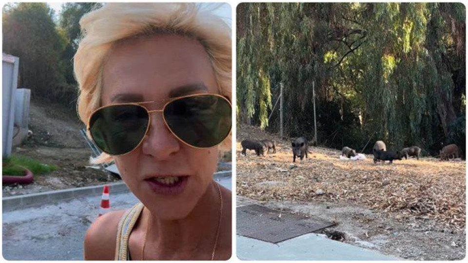 Нана Гладуиш бяга от диви прасета в Марбея Нана Гладуиш бяга от диви прасета в Марбея