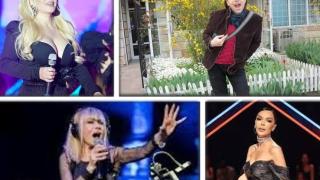 На косъм от мълчание: Звездите, които легнаха под ножа за гласа си