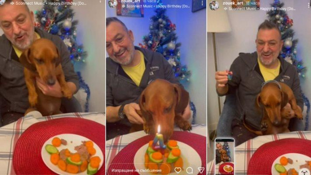 Зуека празнува кучешки рожден ден