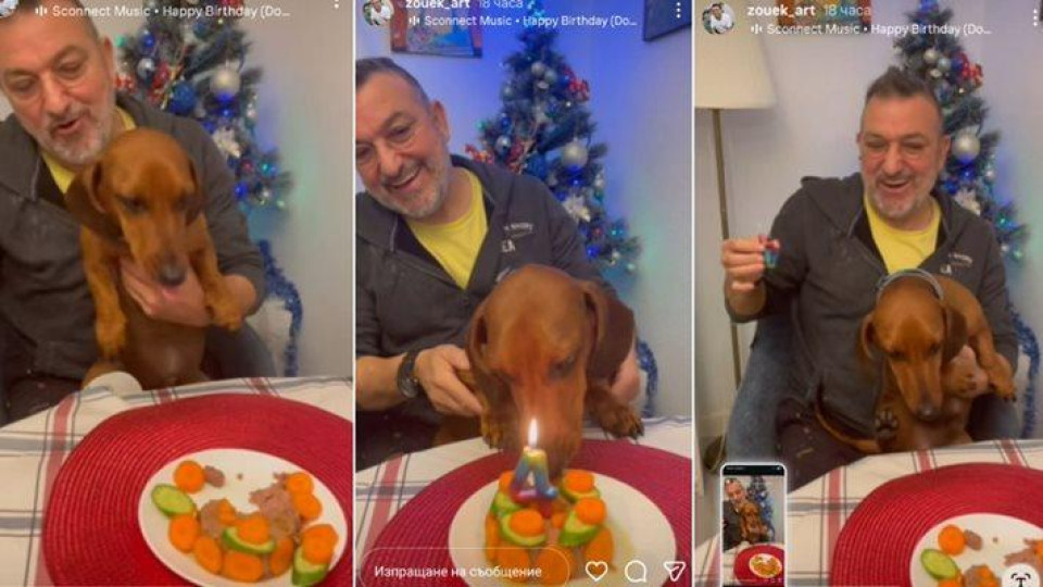 Зуека празнува кучешки рожден ден