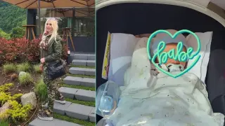 Бейби бум сред БГ звездите: Кои станаха родители, кои се радваха на внуци през 2025-а