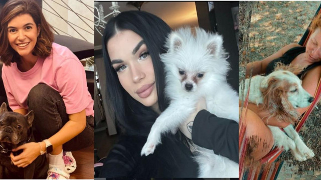 Отрупаха с подаръци звездните домашни любимци! Ето какво им подариха Ива Софиянска, Анжела и др.