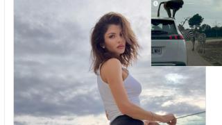 ЕКШЪН: Диви животни нападнаха Славена Вътова по време на сафари!