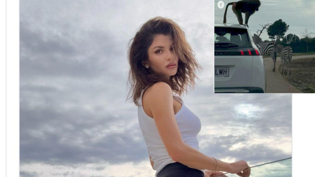 Колата на моделката и водеща Славена Вътова бе нападната от