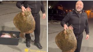 Мрежата завря: Калканите на Митьо Очите - пълни с бело!