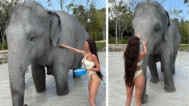 Фолкзвездата Селина къпе слон по прашки