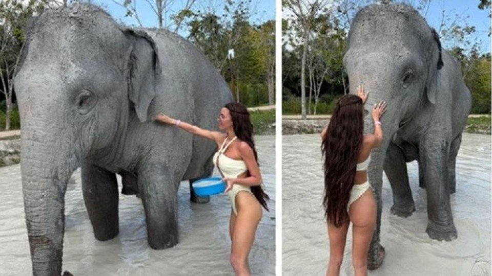 Фолкзвездата Селина къпе слон по прашки