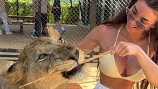 Селина си играе с тигри и лъвове