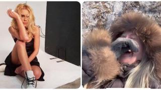 Мария Игнатова пада по гръб само по време на разходка