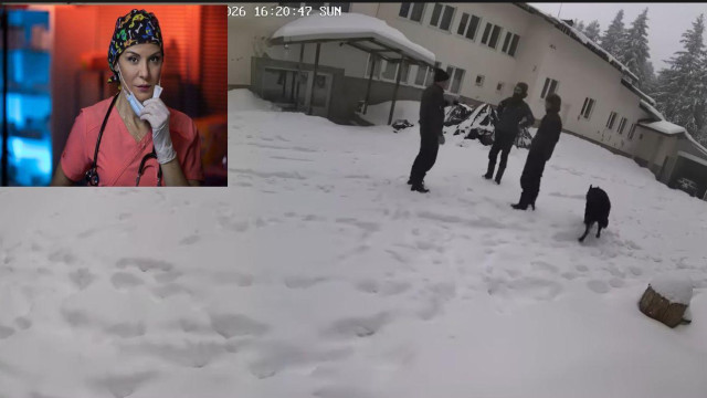 Актрисата Гергана Стоянова позната от Откраднат живот се включи във